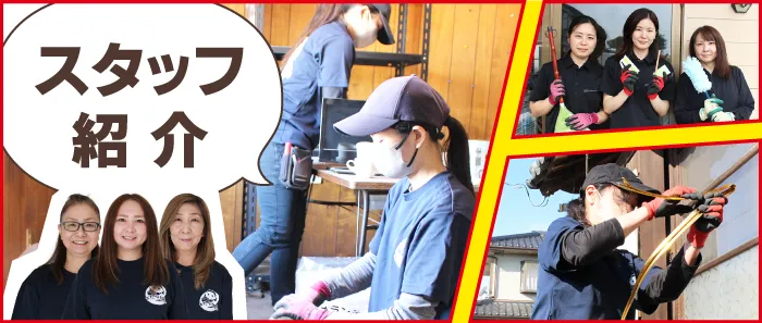 スタッフ紹介