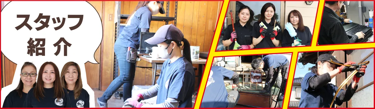 スタッフ紹介